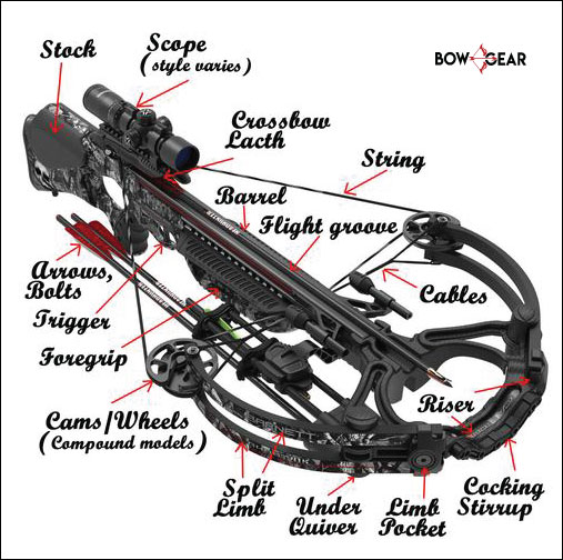 compound-crossbow